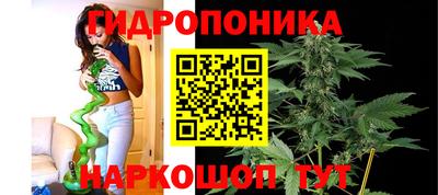 ECSTASY Можга
